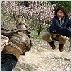 Forbidden Kingdom : photo Jackie Chan, Rob Minkoff