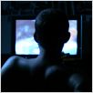 The Signal : photo