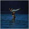 Dirty Dancing : photo
