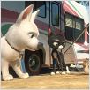 Bolt - Ein Hund für alle Fälle : photo Byron Howard, Chris Williams