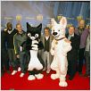 Bolt - Ein Hund für alle Fälle : photo Byron Howard, Chris Williams, Clark Spencer, Fred Testot, Gilles Lellouche