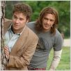 Ananas Express : photo David Gordon Green, James Franco, Seth Rogen