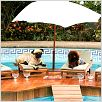 Beverly Hills Chihuahua : photo Raja Gosnell