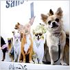 Beverly Hills Chihuahua : photo Raja Gosnell