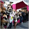 Beverly Hills Chihuahua : photo Raja Gosnell