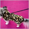 Beverly Hills Chihuahua : photo Raja Gosnell