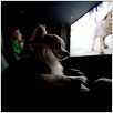 Beverly Hills Chihuahua : photo Raja Gosnell