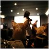 Beverly Hills Chihuahua : photo Raja Gosnell
