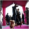 Beverly Hills Chihuahua : photo Raja Gosnell