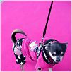 Beverly Hills Chihuahua : photo Raja Gosnell