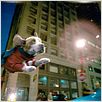 Underdog : photo