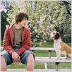 Underdog : photo
