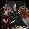 Underdog : photo