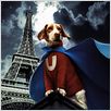 Underdog : photo