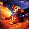 Underdog : photo