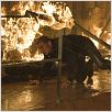 James Bond 007 - Ein Quantum Trost : photo Daniel Craig, Marc Forster