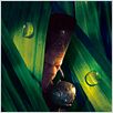Arthur und die Minimoys 2 - Die Rückkehr des Bösen M : poster Luc Besson