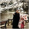 Kirschblüten - Hanami : photo