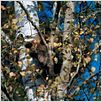 Knut und seine Freunde : photo