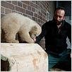 Knut und seine Freunde : photo