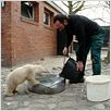 Knut und seine Freunde : photo