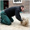 Knut und seine Freunde : photo