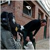 Knut und seine Freunde : photo