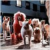 Schweinchen Babe in der großen Stadt : photo George Miller