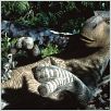 Disneys Dinosaurier : photo