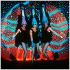 Priscilla - Königin der Wüste : photo Guy Pearce, Hugo Weaving, Stephan Elliott, Terence Stamp
