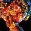 Priscilla - Königin der Wüste : photo Stephan Elliott, Terence Stamp