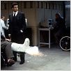 James Bond 007 - GoldenEye : photo Desmond Llewelyn, Ian Fleming, Martin Campbell, Pierce Brosnan