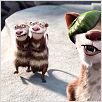 Ice Age 3 - Die Dinosaurier sind los : photo Carlos Saldanha