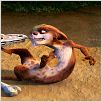 Ice Age 3 - Die Dinosaurier sind los : photo Carlos Saldanha
