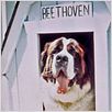 Ein Hund namens Beethoven : photo