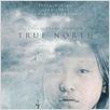 True North : poster