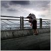 Drei Affen : photo Nuri Bilge Ceylan