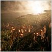 Red Cliff : photo John Woo
