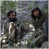 Che - Guerrilla : photo Benicio Del Toro, Steven Soderbergh