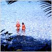 Die blaue Lagune : photo Brooke Shields, Christopher Atkins, Randal Kleiser