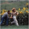 Twister : photo Bill Paxton, Helen Hunt, Jan de Bont