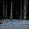 So finster die Nacht : photo Tomas Alfredson