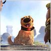 Oben : photo Bob Peterson, Pete Docter