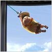Oben : photo Bob Peterson, Pete Docter