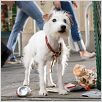 Das Hundehotel : photo Thor Freudenthal