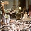 Das Hundehotel : photo Thor Freudenthal
