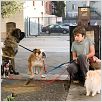 Das Hundehotel : photo Emma Roberts, Jake T. Austin, Thor Freudenthal