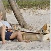 Marley & ich : photo David Frankel, Owen Wilson