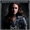 Twilight - Biss zum Morgengrauen : poster Catherine Hardwicke, Kristen Stewart, Stephenie Meyer