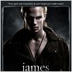 Twilight - Biss zum Morgengrauen : poster Cam Gigandet, Catherine Hardwicke, Stephenie Meyer
